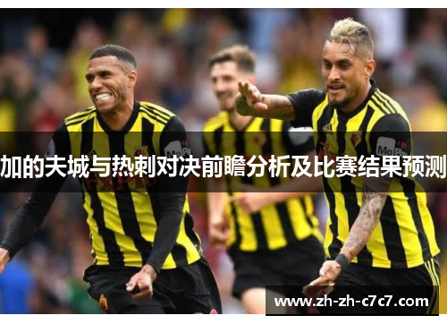 加的夫城与热刺对决前瞻分析及比赛结果预测